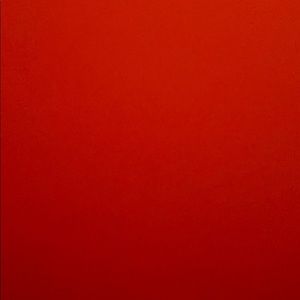 Meet your Posher, Ami